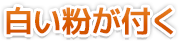 白い粉が付く